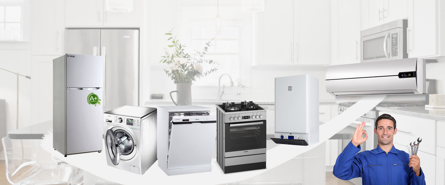 Bergama Electrolux Servisi